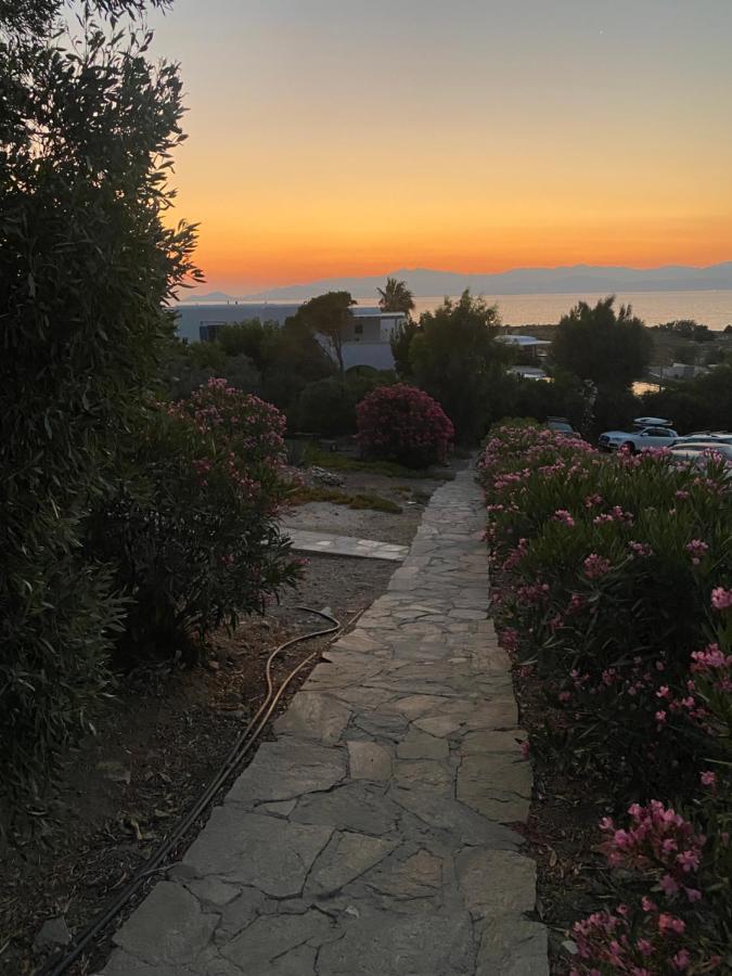 Iliopetra Studios Chrisi Akti  Exterior foto