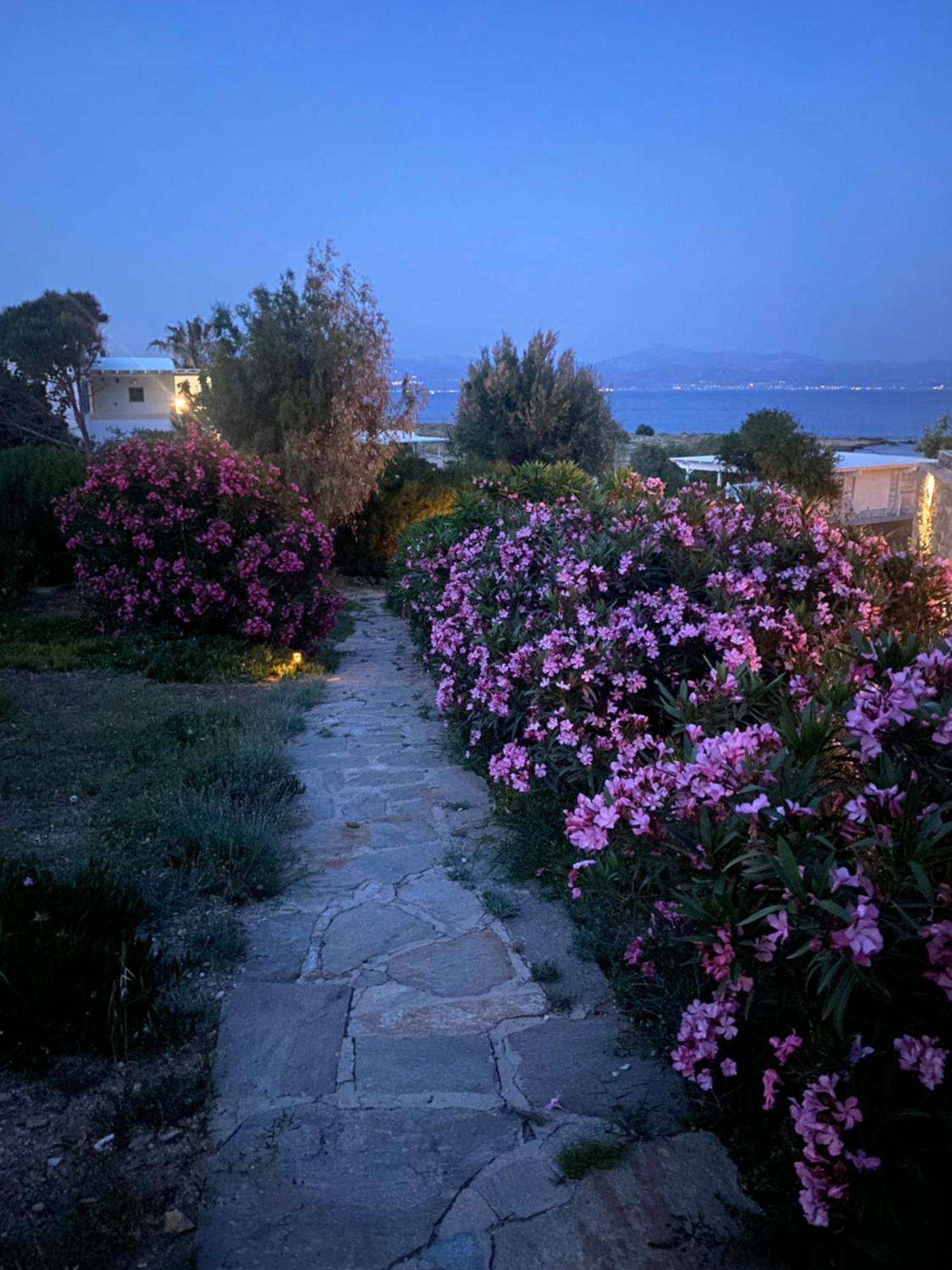 Iliopetra Studios Chrisi Akti  Exterior foto