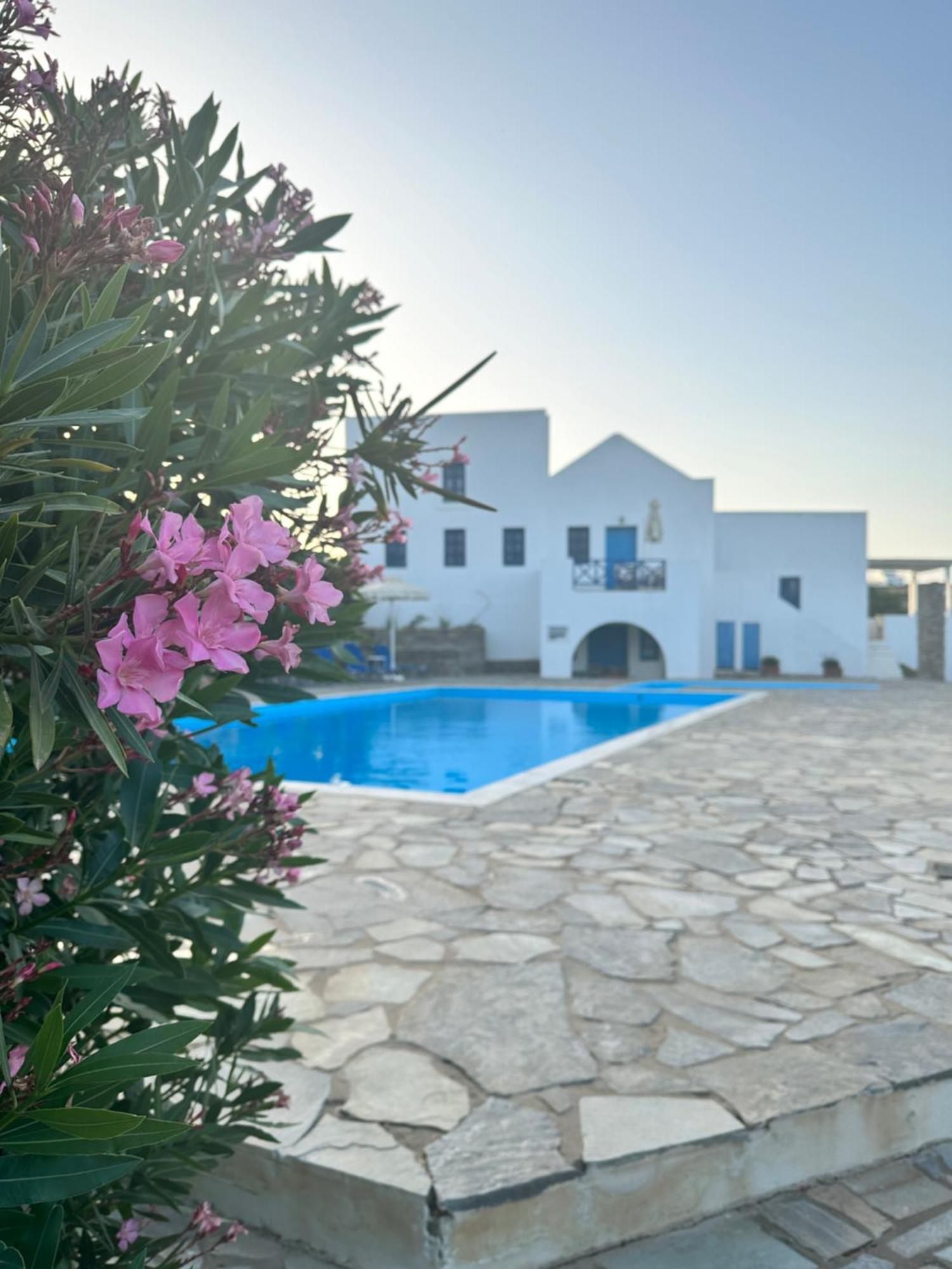 Iliopetra Studios Chrisi Akti  Exterior foto