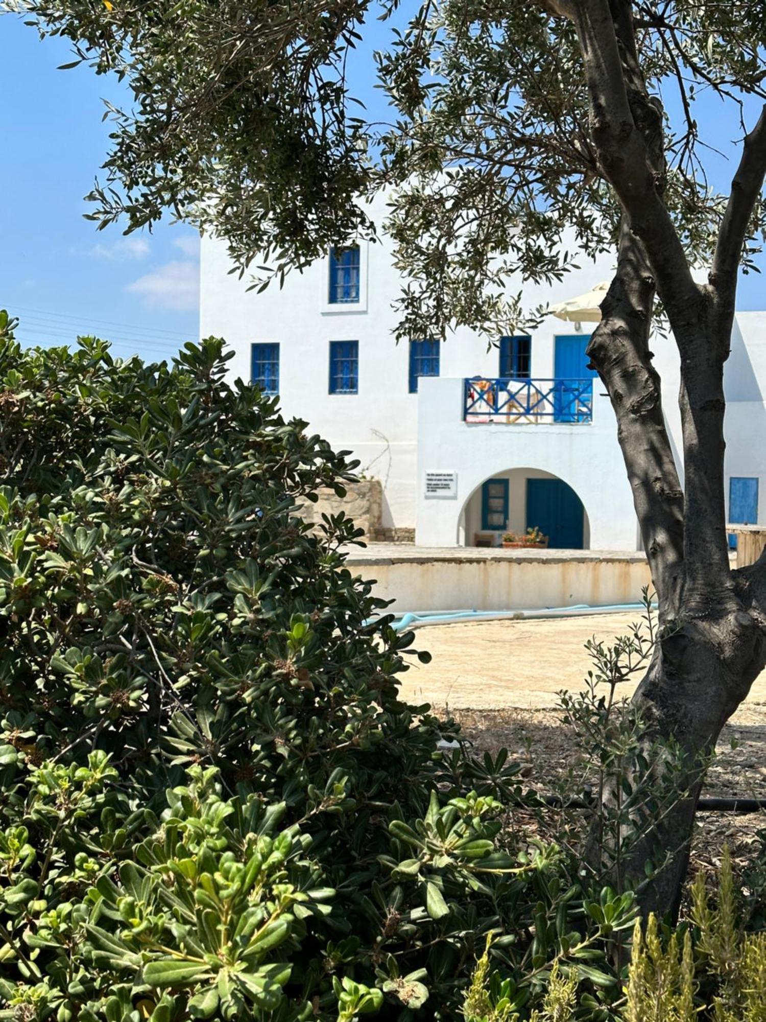 Iliopetra Studios Chrisi Akti  Exterior foto